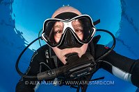 Diving In The Pool, UK