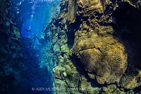 Diver Explores Silfra Canyon, Iceland