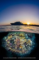 Sunset Split On Coral Reef, Egypt