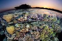 Sunset Split On Coral Reef, Egypt