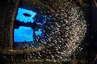 Giannis D Glassfish, Egypt