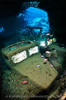 Fordson WOT 3 Lorries, Egypt