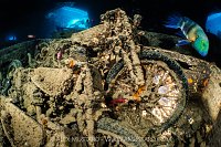 Norton Motorbike, Thistlegorm Wreck, Egypt