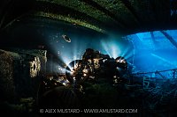 BSA Motorbike, Thistlegorm Wreck, Egypt