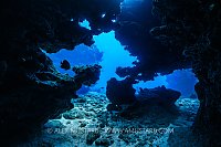 Reef Silhouette, Cayman Islands