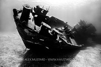 Bow Of The Kittiwake, Cayman Islands
