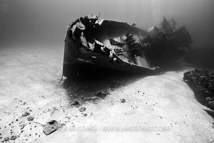 Bow Of The Kittiwake, Cayman Islands