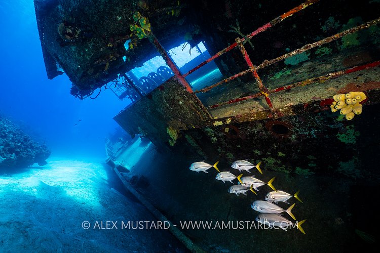 Jacks On The Wreck, Cayman Islands