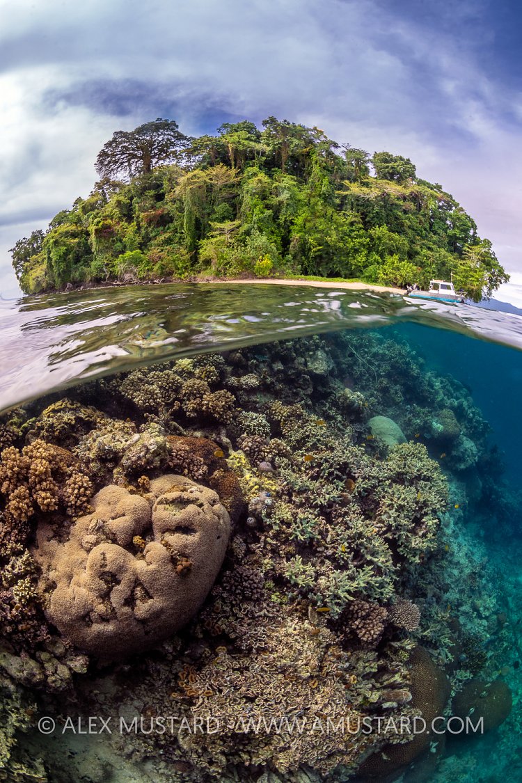 Reef And Island Split Level, PNG