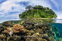 Restorf Island Reef, PNG