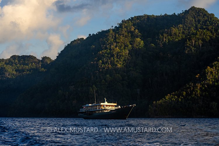 Liveaboard At Anchor, Indonesia