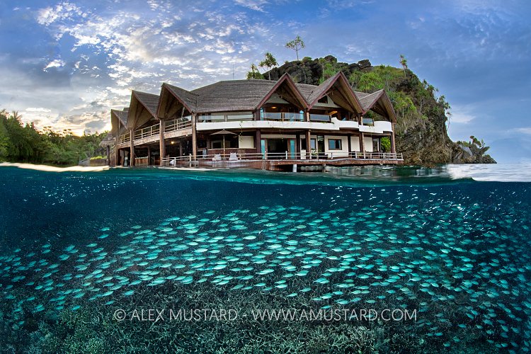 Misool Resort - A Fishy Place, Indonesia