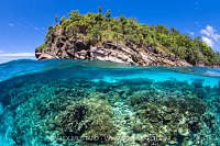 Coral Reef Split Level, Indonesia