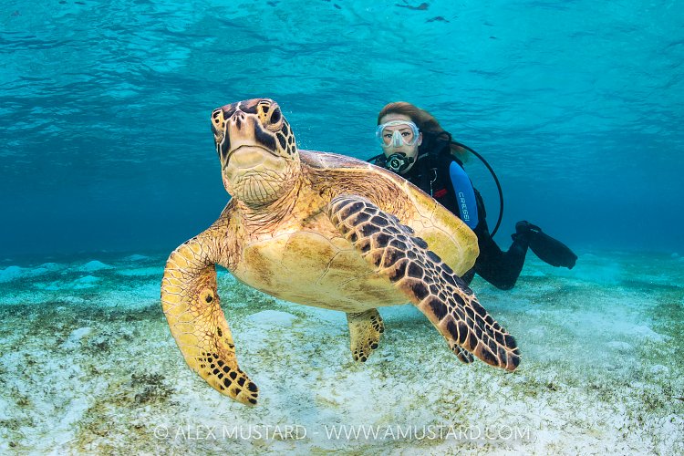 Who You Looking At? Indonesia