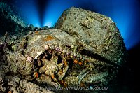 Armoured Carrier Wreck, Egypt
