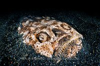 Stargazer In The Sand, Indonesia