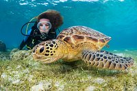 Diver With Turtle, Egypt