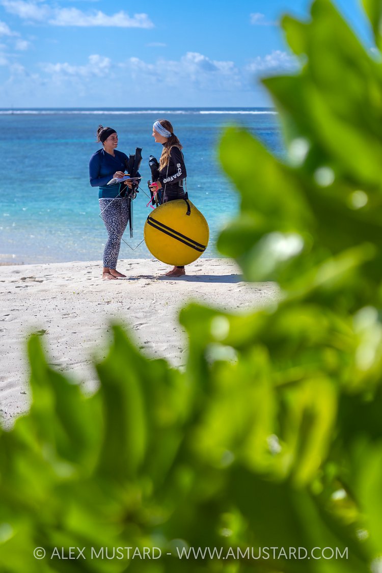 Seagrass Survey, Maldives