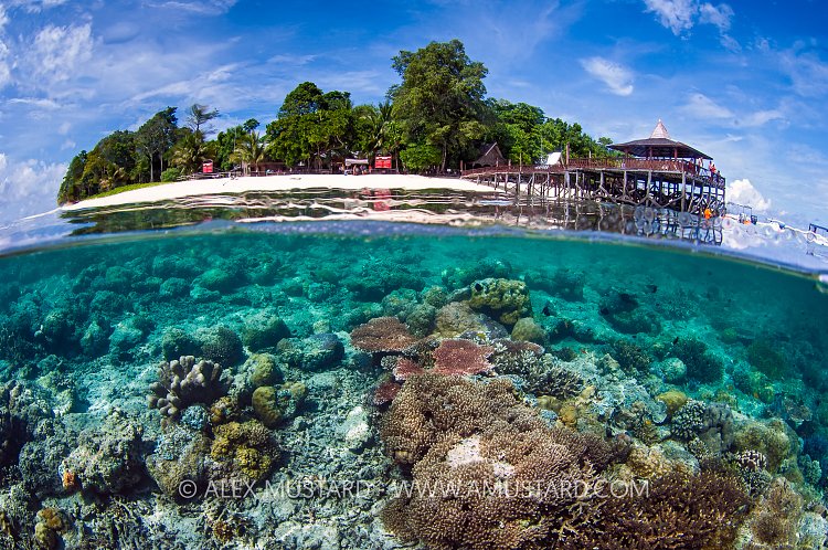 Sipadan Island, Split Level, Malaysia