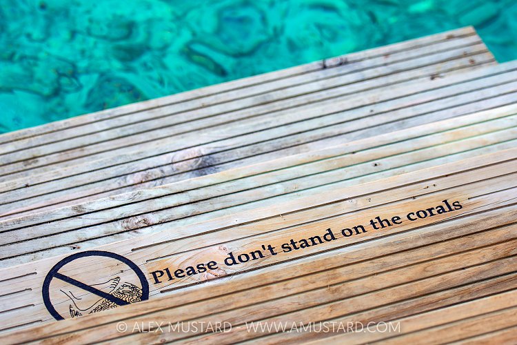Coral Protection, Maldives