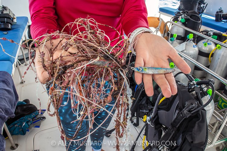 Retrieved Fishing Line, Maldives