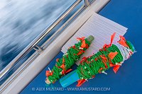 Coral Survey Line, Maldives