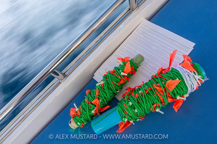Coral Survey Line, Maldives