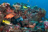 Manta Monitoring Camera, Maldives