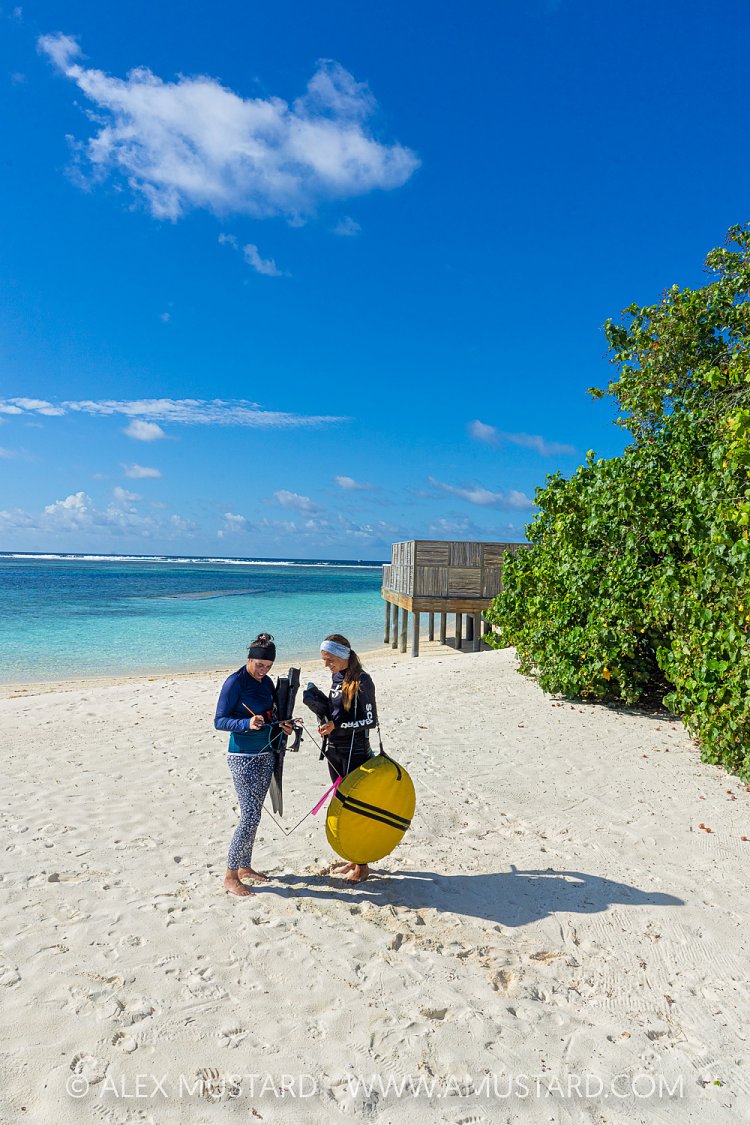 Surveying Seagrass, Maldives