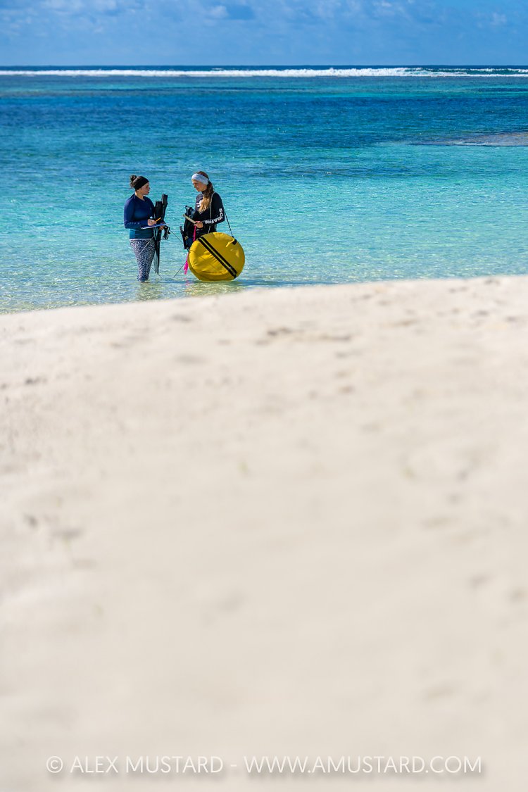 Surveying Seagrass, Maldives