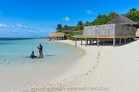 Surveying Seagrass, Maldives