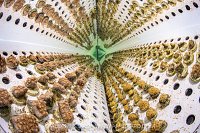 Coral Propagation Facility, Malidves