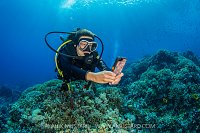 Phone Photography Underwater, Philippines