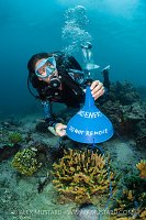Coral Spawning Trap Deployment, Indonesia
