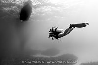 Returning To The Dive Boat, Cayman Islands