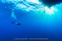 Returning To The Dive Boat, Cayman Islands