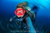Diver In A Spin, Cayman Islands
