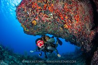 Diver Beneath Overhang, Cayman Islands