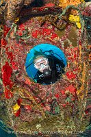 Diving The Kittiwake Wreck, Cayman Islands