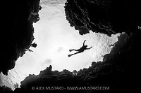 Exploring The Reef, Cayman Islands