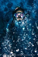 Diver In Bubbles, Cayman Islands
