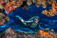 Exploring The Reef, Cayman Islands
