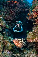 Exploring The Reef, Cayman Islands