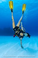 Handstand Diver, Cayman Islands