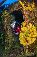 Diving The Kittiwake, Cayman Islands