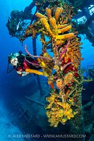 Diving The Kittiwake, Cayman Islands