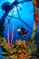 Diving The Kittiwake, Cayman Islands