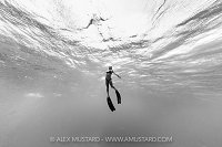 Monochrome Freediver, Cayman Islands