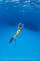 Freediving In The Blue, Cayman Islands