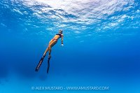 Freediving In The Blue, Cayman Islands